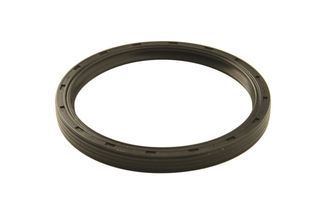 Ford Racing 302 ONE Piece Rear Main Oil Seal Ford Racing Engine Gaskets  AXOPROS