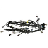Ford Racing 5.0L Coyote Engine Harness for Automatic Transmission Ford Racing Wiring Harnesses  AXOPROS