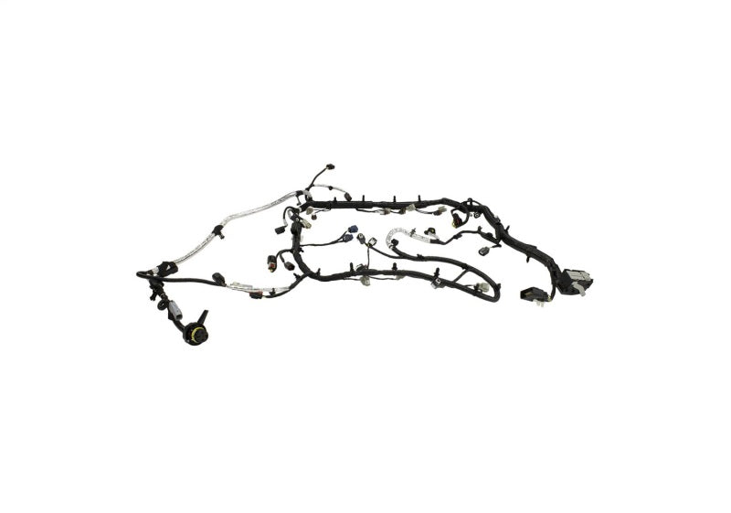 Ford Racing 5.0L Coyote Engine Harness for Automatic Transmission Ford Racing Wiring Harnesses  AXOPROS