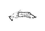 Ford Racing 5.0L Coyote Engine Harness for Automatic Transmission Ford Racing Wiring Harnesses  AXOPROS
