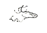 Ford Racing 5.0L Coyote Engine Harness for Automatic Transmission Ford Racing Wiring Harnesses  AXOPROS