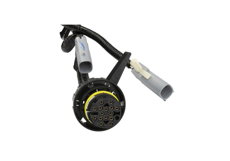 Ford Racing 5.0L Coyote Engine Harness for Automatic Transmission Ford Racing Wiring Harnesses  AXOPROS