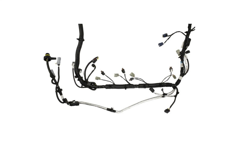 Ford Racing 5.0L Coyote Engine Harness for Automatic Transmission Ford Racing Wiring Harnesses  AXOPROS