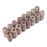 Ford Racing BOSS 302R Valve Spring Kit Ford Racing Valve Springs, Retainers  AXOPROS