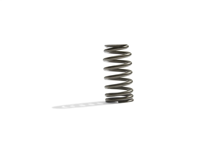 Ford Racing BOSS 302R Valve Spring Kit Ford Racing Valve Springs, Retainers  AXOPROS