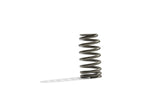 Ford Racing BOSS 302R Valve Spring Kit Ford Racing Valve Springs, Retainers  AXOPROS