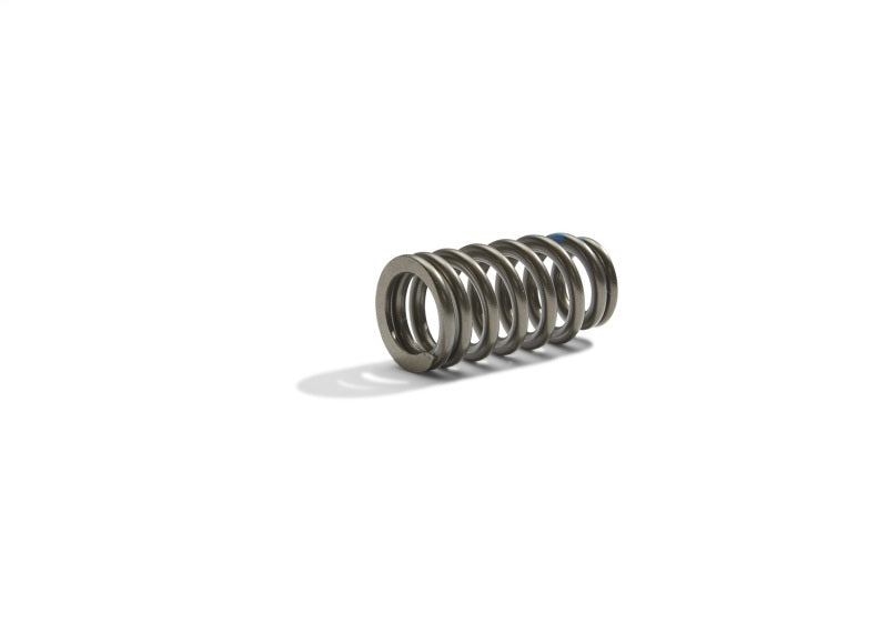Ford Racing BOSS 302R Valve Spring Kit Ford Racing Valve Springs, Retainers  AXOPROS
