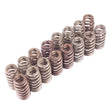 Ford Racing BOSS 302R Valve Spring Kit Ford Racing Valve Springs, Retainers  AXOPROS