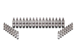 Ford Racing Ford GT and Mustang SVT 5.4L Lash AdjusterS Ford Racing Valve Lash Caps  AXOPROS