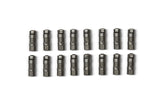 Ford Racing High Performance Hydraulic Roller Lifter Ford Racing Lifters  AXOPROS