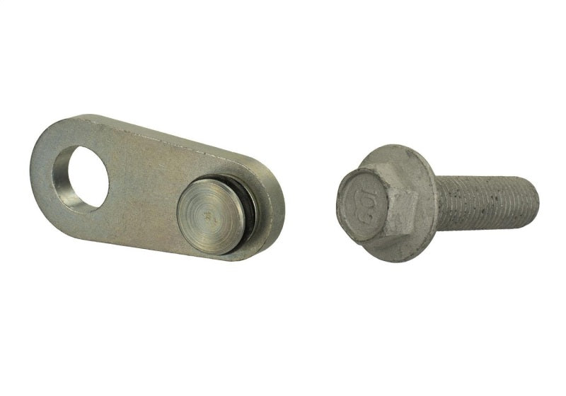 Ford Racing Mustang 2.0L/2.3L EcoBoost Balance Shaft Block-Off Plug Ford Racing Engine Hardware  AXOPROS