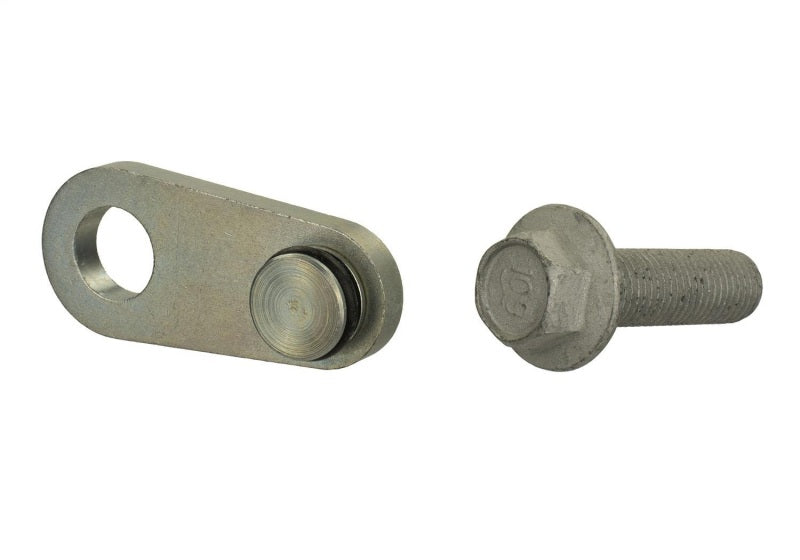 Ford Racing Mustang 2.0L/2.3L EcoBoost Balance Shaft Block-Off Plug Ford Racing Engine Hardware  AXOPROS