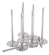GSC P-D Ford Voodoo/Predator 38.26mm Head STD 121.13mm Long Chrome Polished Intake Valve - Set of 8 GSC Power Division Valves  AXOPROS
