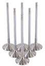 GSC P-D Toyota G16E-GTS 32mm Head (STD) Chrome Polished Exhaust Valve - Set of 6 GSC Power Division Valves  AXOPROS