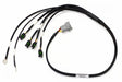 Haltech Elite 1000/1500 Terminated Ignition Harness Haltech Wiring Harnesses  AXOPROS