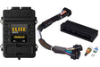Haltech Elite 1500 Adaptor Harness ECU Kit Haltech Programmers & Tuners  AXOPROS