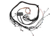 Haltech Elite 2000/2500 Terminated Engine Harness Haltech Wiring Harnesses  AXOPROS