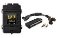 Haltech Elite 2500 Adaptor Harness ECU Kit Haltech Programmers & Tuners  AXOPROS