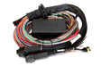 Haltech Elite 2500/2500 T 8ft Premium Universal Wire-In Harness Haltech Wiring Harnesses  AXOPROS