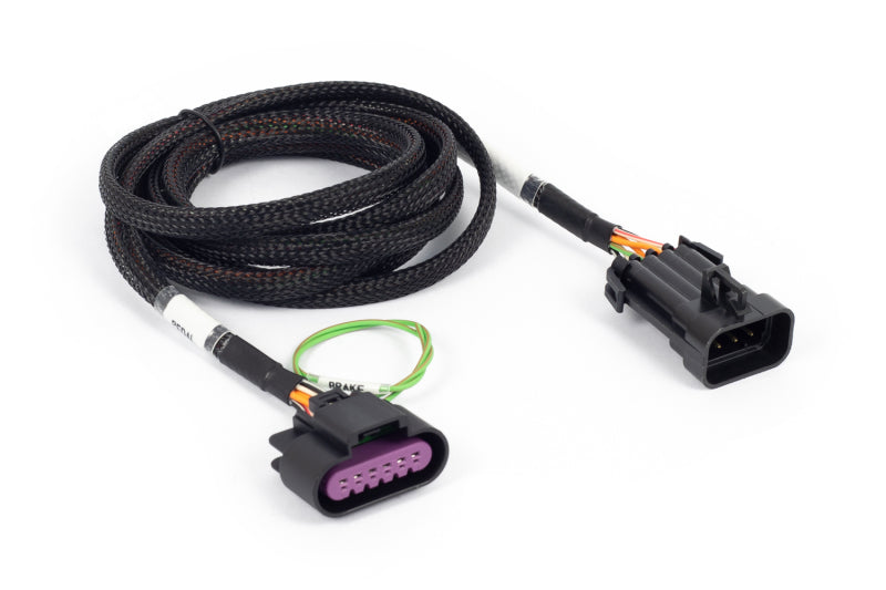 Haltech NEXUS Rebel LS Corvette Pedal Adaptor Haltech Wiring Connectors  AXOPROS