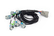 Haltech NEXUS Rebel LS EV6 Injector Sub-Harness Haltech Wiring Harnesses  AXOPROS