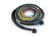 Haltech NEXUS S2/S3 Universal Wire-In Harness Kit - 2.5M (8ft) Haltech Wiring Harnesses  AXOPROS