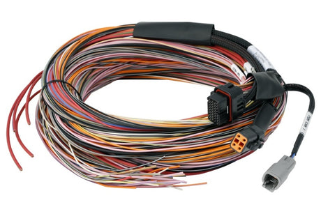 Haltech PD16 Flying Lead Harness 5M Haltech Wiring Harnesses  AXOPROS