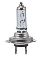 Hella H7 12V 55W PX26D HP 2.0 Halogen Bulbs Hella Bulbs  AXOPROS