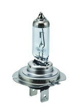 Hella H7 12V 55W PX26D HP 2.0 Halogen Bulbs Hella Bulbs  AXOPROS