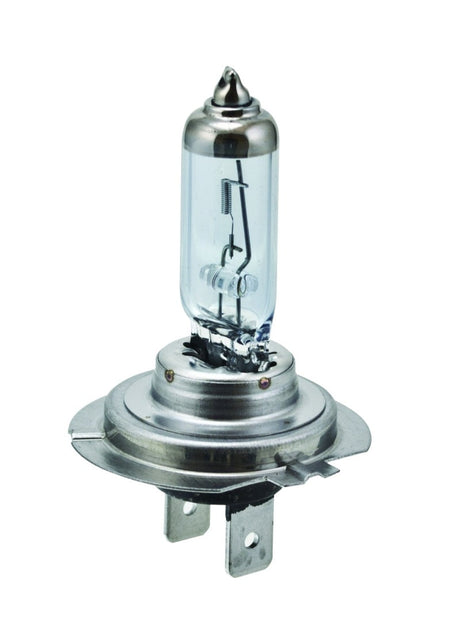 Hella H7 12V 55W PX26D HP 2.0 Halogen Bulbs Hella Bulbs  AXOPROS
