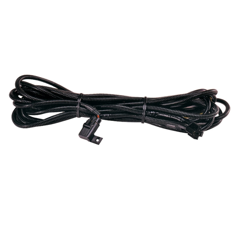 Hella High Performance Halogen Wiring Harness Hella Light Accessories and Wiring  AXOPROS