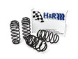 H&R 05-10 Volkswagen Jetta/Jetta SportWagen 2.5L/1.9L TDI/2.0T MK5 Sport Spring H&R Lowering Springs  AXOPROS