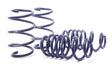 H&R 16-21 BMW X1 xDrive28i (AWD) F48 Sport Spring (Incl. M Sport Susp.) H&R Lowering Springs  AXOPROS