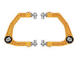 ICON 2024 Toyota Tacoma Billet Upper Control Arm w/ Delta Joint Pro - Gold Anodized ICON Control Arms  AXOPROS