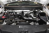 K&N 04-08 Ford F150 V8-5.4L/04-07 Ford Lobo 5.4L V8 Blackhawk Perf Intake Kit K&N Engineering Cold Air Intakes  AXOPROS