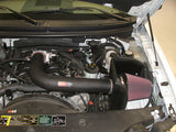 K&N 04 Ford F150 V8-5.4L Performance Intake Kit K&N Engineering Cold Air Intakes  AXOPROS