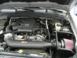 K&N 05 Nissan Pathfinder V6-4.0L Performance Intake Kit K&N Engineering Cold Air Intakes  AXOPROS