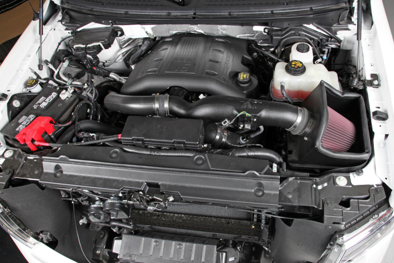 K&N 11-14 Ford F-150 3.5L V6 Performance Intake Kit K&N Engineering Cold Air Intakes  AXOPROS