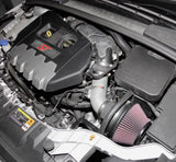 K&N 13 Ford Focus ST L4-2.9L F/I Typhoon Performance Intake K&N Engineering Cold Air Intakes  AXOPROS