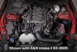 K&N 18-23 Ford Mustang GT 5.0L V8 (Gas) Catch Can Oil Separator K&N Engineering Oil Separators  AXOPROS