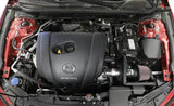 K&N 19-20 Mazda 3 L4-2.5L Typhoon Air Intake K&N Engineering Cold Air Intakes  AXOPROS