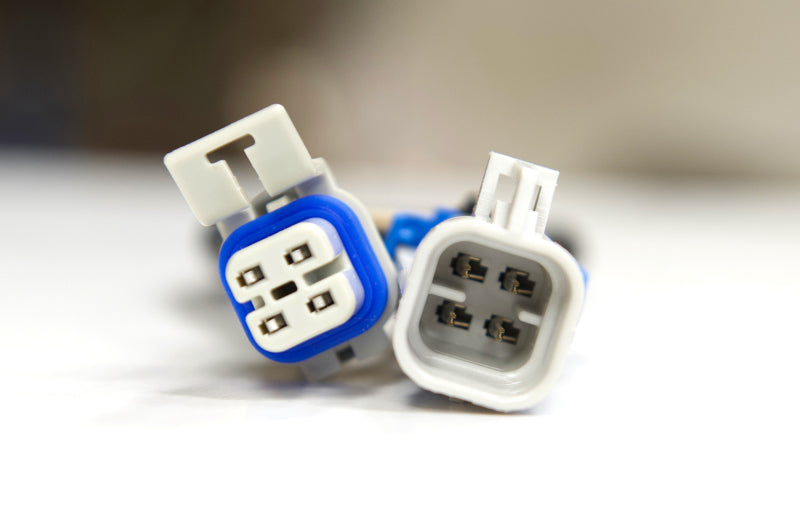 Kooks 04-08 Cadillac CTSV & All Pontiac G8 12in - 02 Ext Harn Each Kooks Headers Wiring Harnesses  AXOPROS