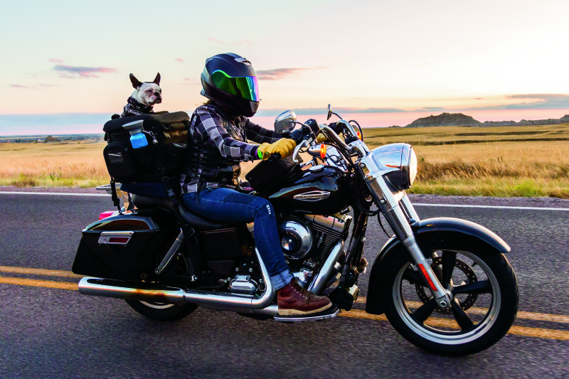 Kuryakyn Grand Pet Palace Kuryakyn Cargo Boxes & Bags  AXOPROS