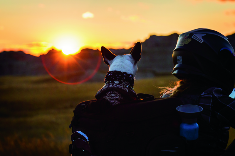 Kuryakyn Grand Pet Palace Kuryakyn Cargo Boxes & Bags  AXOPROS