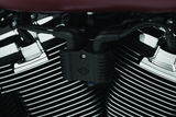 Kuryakyn Precision Coil Cover Chrome Kuryakyn Engine Covers  AXOPROS
