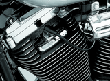 Kuryakyn Spark Plug & Head Bolt Covers Evolution Motors & 86-03 XL Models Kuryakyn Engine Covers  AXOPROS