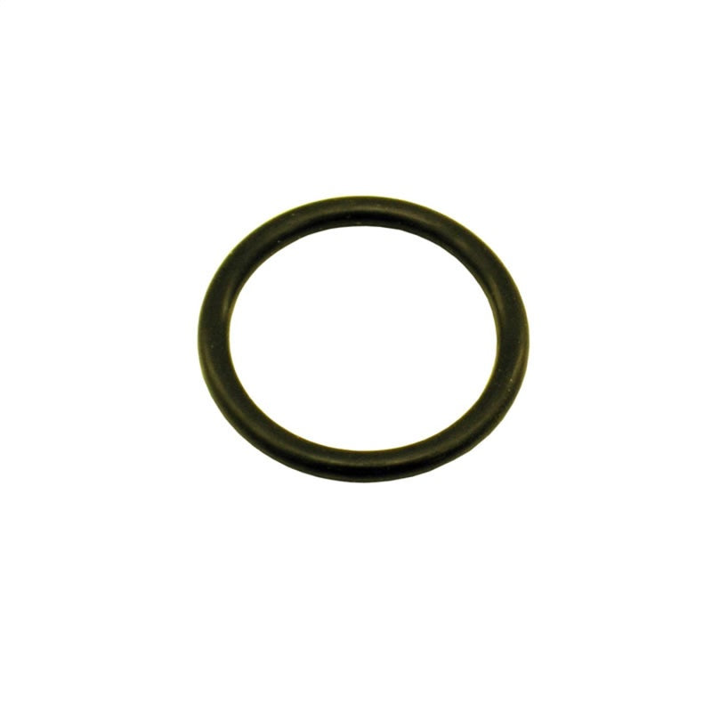 Nitrous Express 1-1/8 O-Ring (Fits 5lb/10lb/12lb/15lb Bottle Valve) Nitrous Express O-Rings  AXOPROS