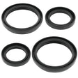 QuadBoss 04-05 Arctic Cat 250 4x4 (2) Front Differential Seal Kit QuadBoss Gasket Kits  AXOPROS