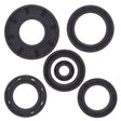 QuadBoss 04-06 Arctic Cat 650 V2 4x4 AT Oil Seal Set QuadBoss Gasket Kits  AXOPROS