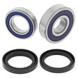 QuadBoss 14-22 Honda TRX420FA1/2 FourTrax Rancher 4x4 AT DCT/PS Rear ATV Wheel Bearing & Seal Kit QuadBoss Wheel Bearings  AXOPROS